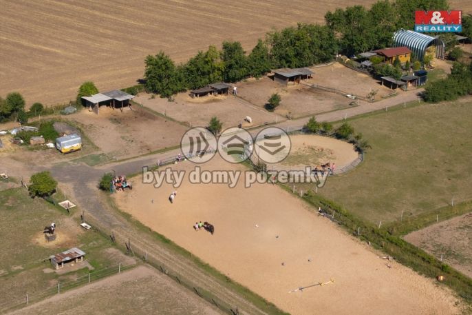 Prodej, Rodinný dům, Račiněves