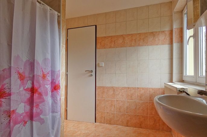 Pronájem, Byt 1+1, Červené Pečky