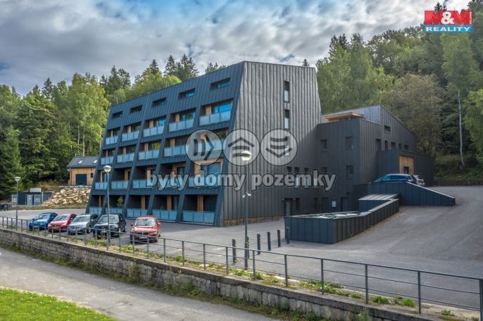 Prodej, Byt 1+kk, Janov nad Nisou