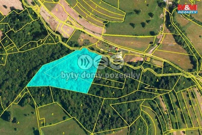 Prodej, Les, Huslenky