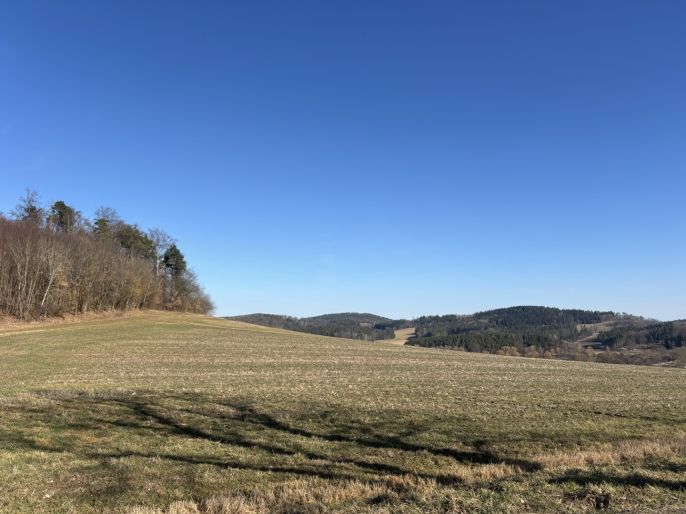 Pronájem, Byt 3+kk, Brloh