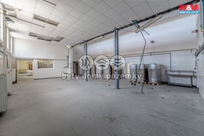 Prodej, Výrobní objekt, Kostelec nad Labem