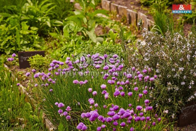 Prodej, Chalupa, Volfartice