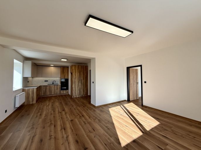 Pronájem, Byt 3+kk, Hať