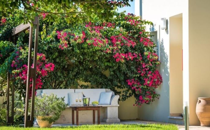 Prodej, Hotel, penzion, Tsilivi