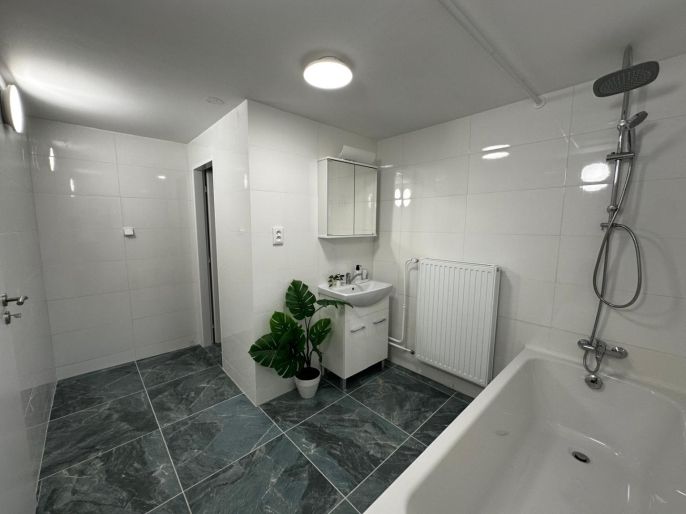 Pronájem, Rodinný dům, Hlučín