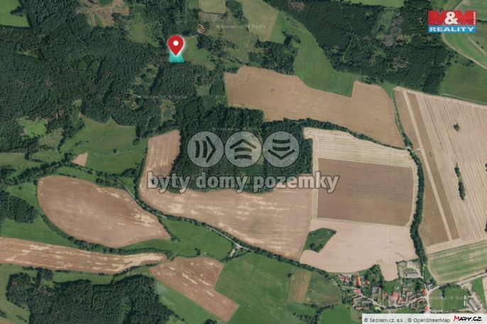 Prodej, Les, Milejovice