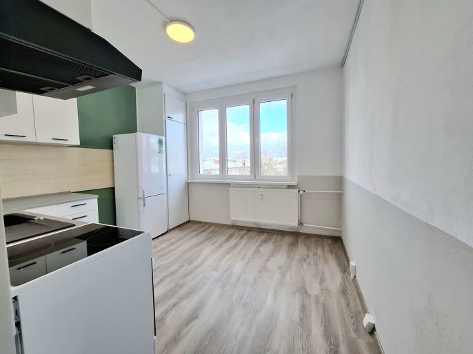 Pronájem, Byt 3+1, Ostrov