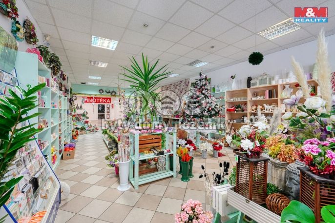 Pronájem, Obchod a služby, Třemošná