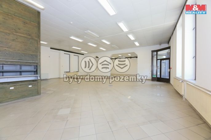 Pronájem, Obchod a služby, Staré Město