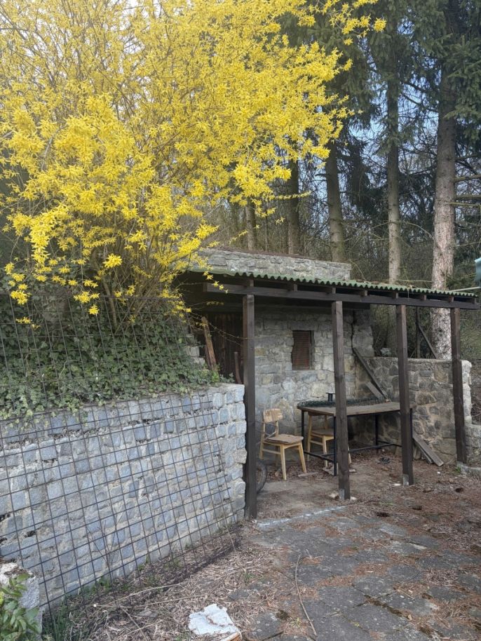 Prodej, Zahrada, Brno