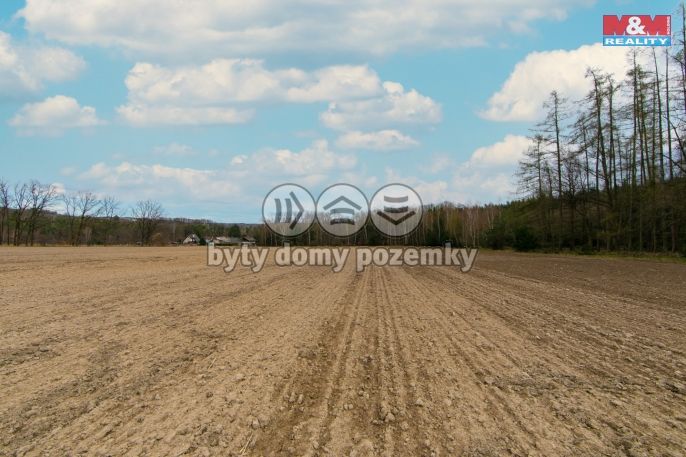 Prodej, Pole, Předenice