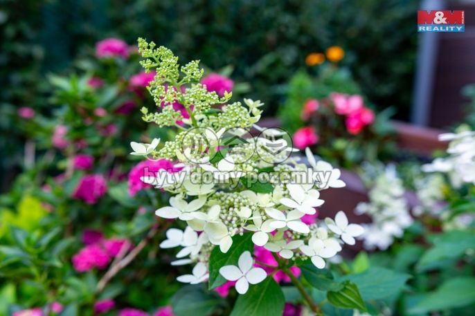 Prodej, Rodinný dům, Ostrava