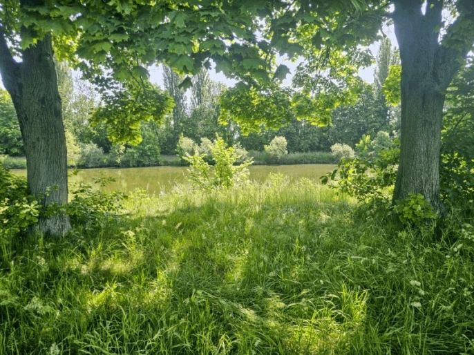 Prodej, Louka, Hradec Králové