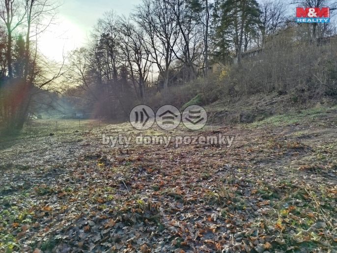 Prodej, Zahrada, Hrusice