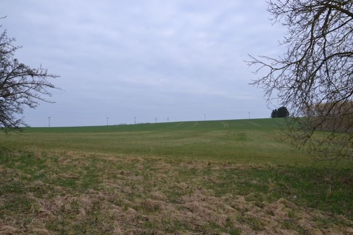 Prodej, Rodinný dům, Bohdašín