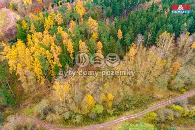 Prodej, Les, Tuchořice