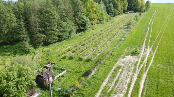 Prodej, Ovocný sad, Petrovice u Karviné