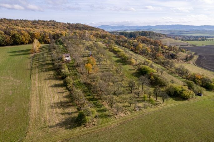 Prodej, Ovocný sad, Kostelec u Holešova