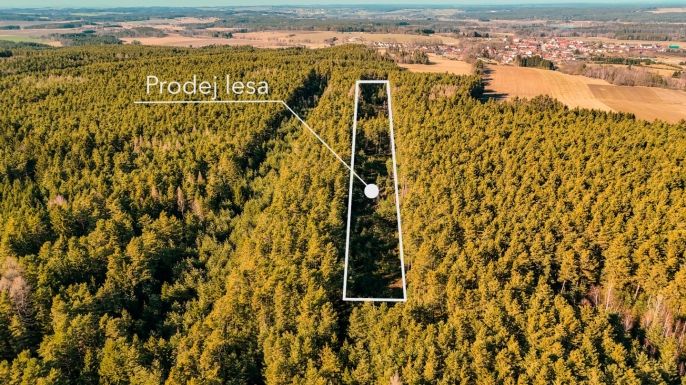 Prodej, Les, Olešnice