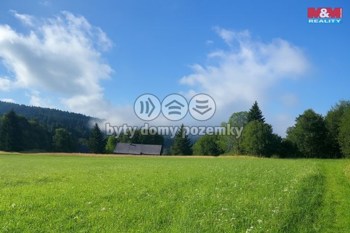 Prodej, Louka, Kořenov