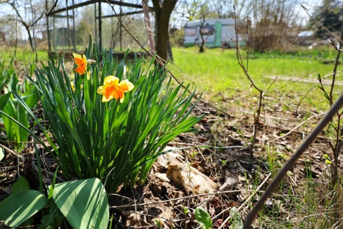 Prodej, Zahrada, Čáslav