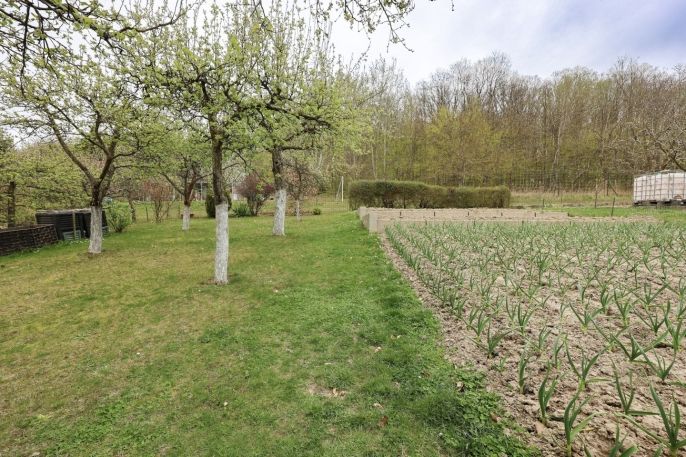 Prodej, Chata, Šternberk