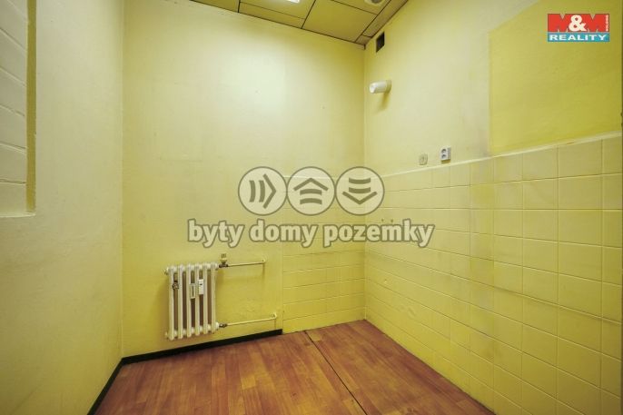 Pronájem, Obchod a služby, Třemošná