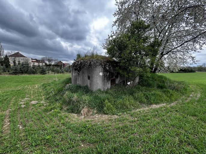 Prodej, Ostatní, Opava