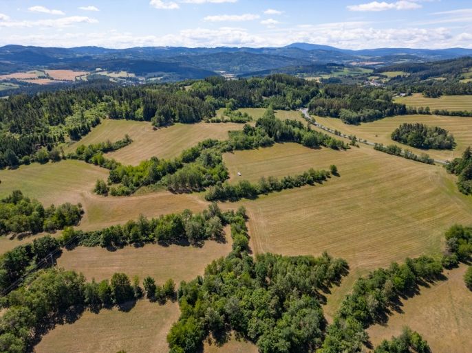Prodej, Louka, Nišovice