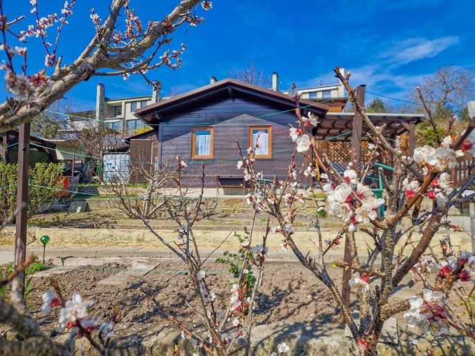 Prodej, Zahrada, Nový Bor