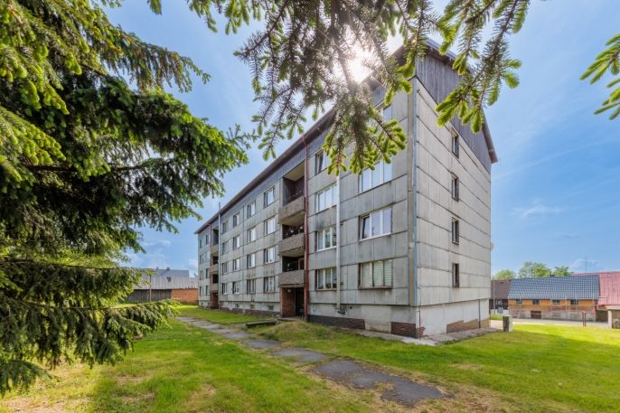 Prodej, Byt 2+1, Abertamy