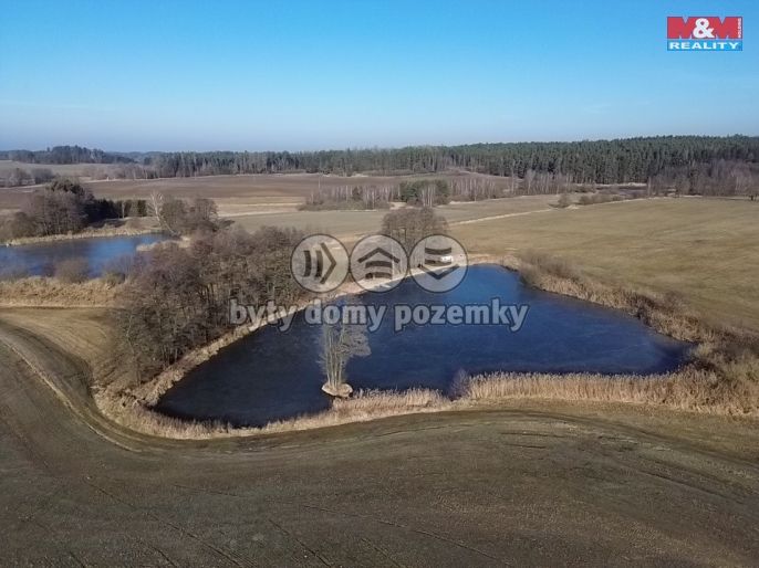 Prodej, Vodní plocha, Ratiboř