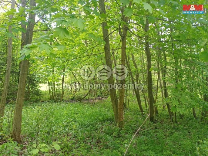 Prodej, Louka, Kořenov