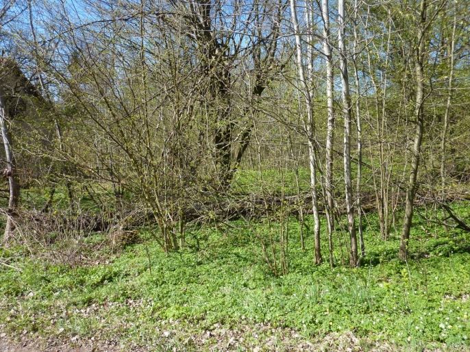 Prodej, Pozemek k bydlení, Brzice