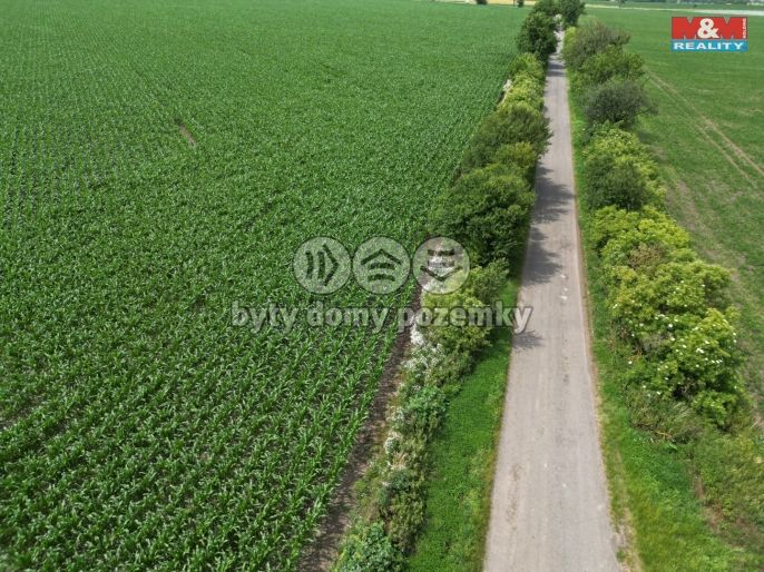 Prodej, Pole, Prostějov