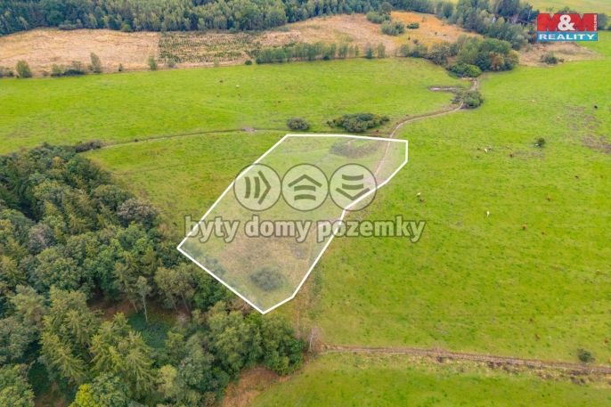 Prodej, Louka, Spálené Poříčí