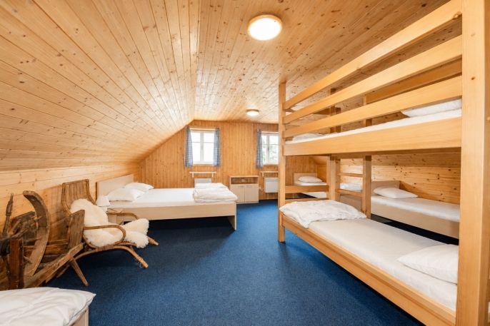 Prodej, Hotel, penzion, Sněžné