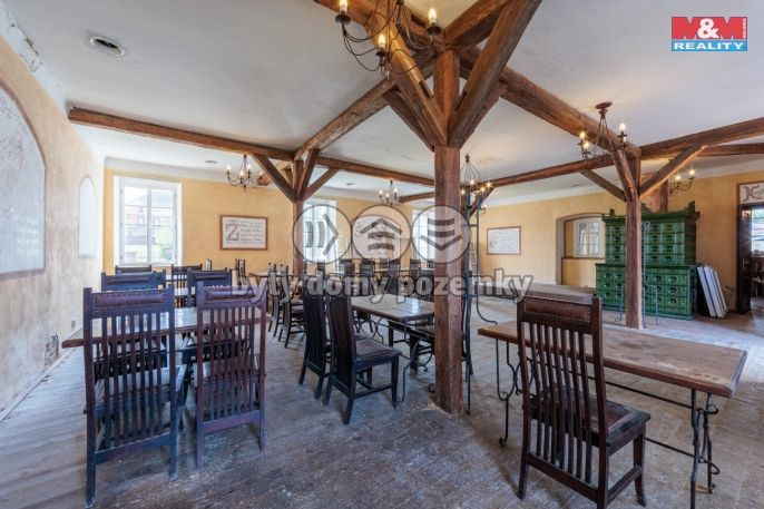 Prodej, Hotel, penzion, Mlečice