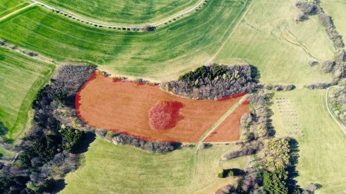 Prodej, Louka, Pastviny