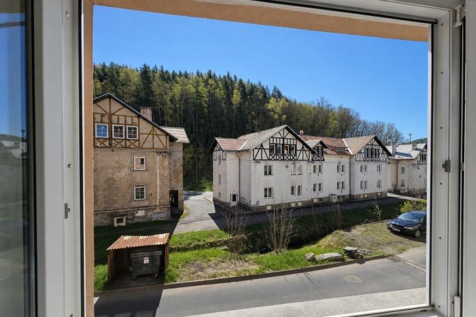 Prodej, Byt 3+1, Oloví