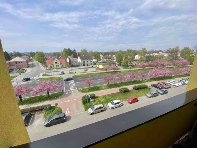 Pronájem, Byt 2+1, Karviná