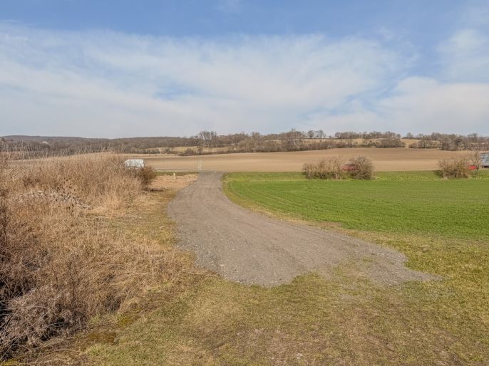 Prodej, Pole, Jenčice