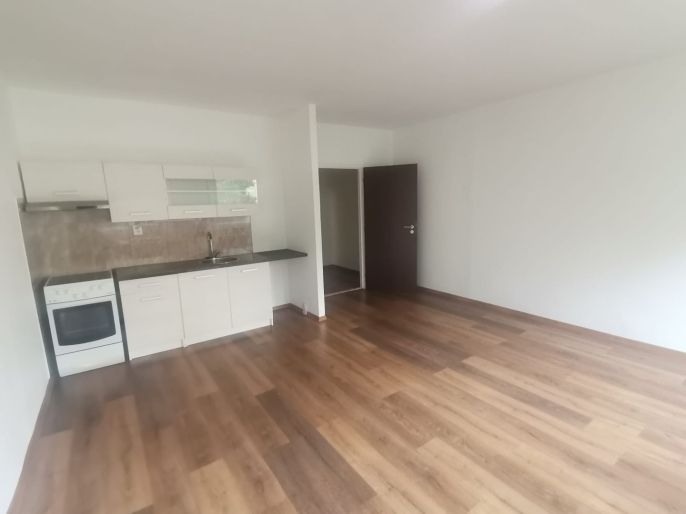 Pronájem, Byt 1+kk, Ústí nad Labem