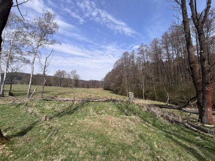 Prodej, Louka, Cvikov