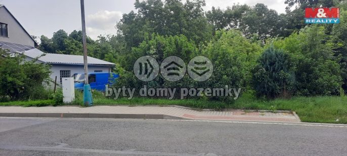 Prodej, Zahrada, Loučany