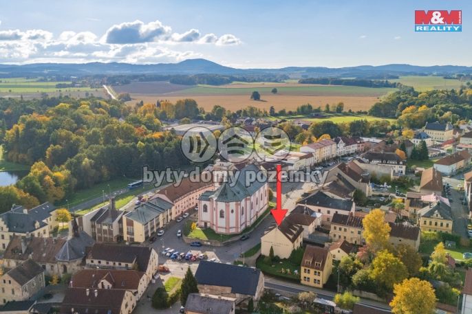 Pronájem, Obchod a služby, Bor