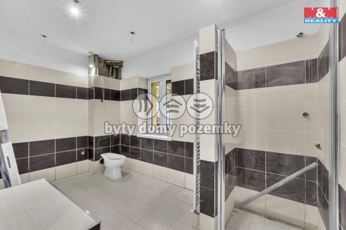 Prodej, Hotel, penzion, Rokytnice nad Jizerou