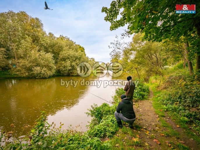 Prodej, Ostatní, Lštění