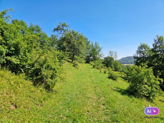 Prodej, Louka, Starý Šachov